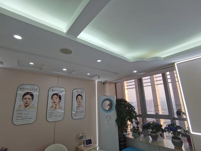 《医疗美容项目分级管理目录》